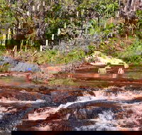 Litchfield National Park Day Tour from Darwin With Waterfalls And Buley Rockhole - VIC Tourism