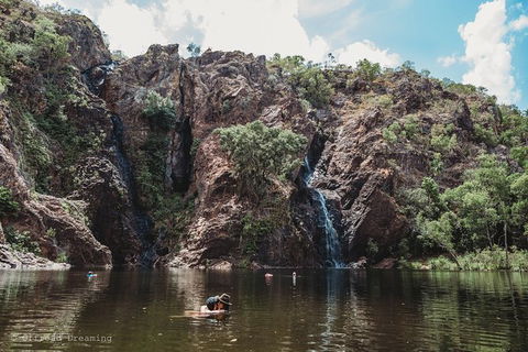 Litchfield National Park Day Tour From Darwin With Waterfalls And Buley Rockhole - VIC Tourism 13