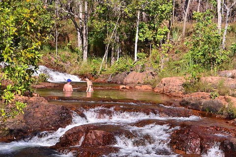 Litchfield National Park Day Tour From Darwin With Waterfalls And Buley Rockhole - VIC Tourism 12