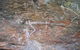 2-Day Kakadu And Arnhem Land Tour From Darwin - thumb 4