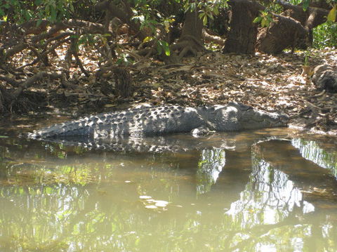 2-Day Kakadu And Arnhem Land Tour From Darwin - VIC Tourism 2