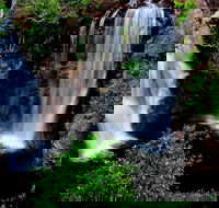 Litchfield Dreams 1 Day National Park Waterfall Swimming  Jumping Croc Cruise - VIC Tourism