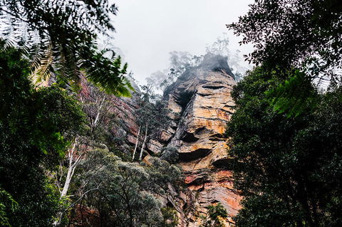 All-Inclusive Blue Mountains Day Trip With River Cruise - VIC Tourism 3