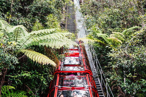 All-Inclusive Blue Mountains Day Trip With River Cruise - VIC Tourism 6