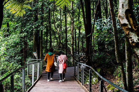 All-Inclusive Blue Mountains Day Trip With River Cruise - VIC Tourism 10