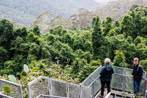 All-Inclusive Blue Mountains Day Trip With River Cruise - VIC Tourism 2