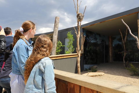 All-Inclusive Blue Mountains Day Trip With River Cruise - VIC Tourism 23