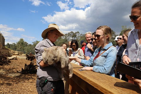 All-Inclusive Blue Mountains Day Trip With River Cruise - VIC Tourism 27