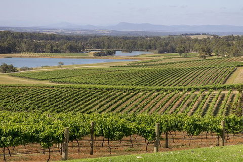Hunter Valley Wine Tour From Sydney With Lunch And 3 Cellar Door Tastings - VIC Tourism 1