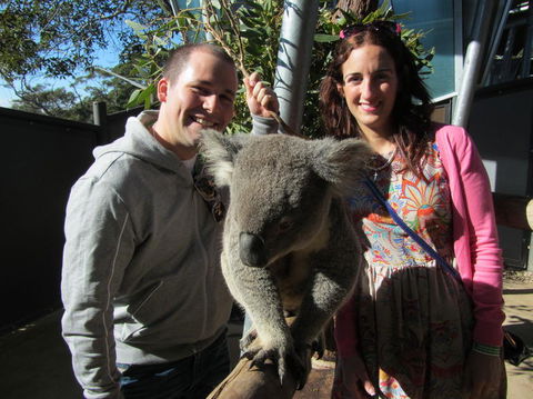 Sydney Taronga Zoo\'s Australian Animals Tour - VIC Tourism 7