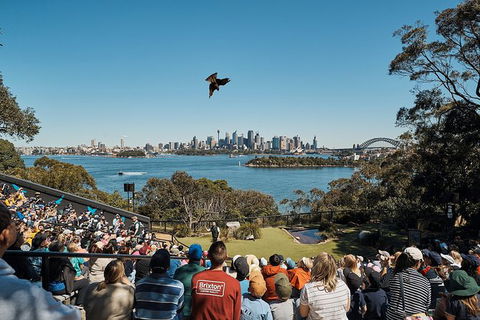 Sydney Taronga Zoo\'s Australian Animals Tour - VIC Tourism 10