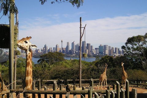Sydney Taronga Zoo\'s Australian Animals Tour - VIC Tourism 8