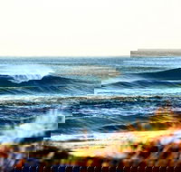 7-Day Byron Bay Evans Head and Moonee Beach Surf Safari from Brisbane Gold Coast or Byron Bay - VIC Tourism