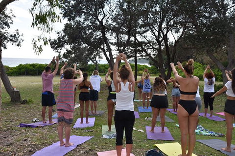 7-Day Byron Bay, Evans Head And Moonee Beach Surf Safari From Brisbane, Gold Coast Or Byron Bay - VIC Tourism 3