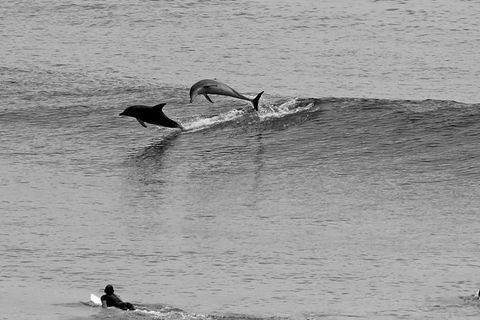 7-Day Byron Bay, Evans Head And Moonee Beach Surf Safari From Brisbane, Gold Coast Or Byron Bay - VIC Tourism 6