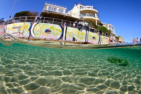 Bondi Like A Local: Half-Day Sightseeing Tour Including Surf Lesson - VIC Tourism 5