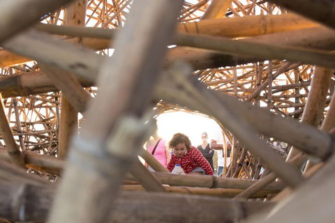 Family Day In Sydney With A Local: Private & Personalized - VIC Tourism 7