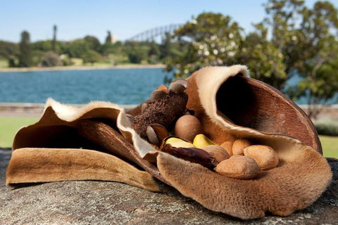 Aboriginal Heritage Tour At The Royal Botanic Garden Sydney - VIC Tourism 7