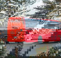 SkyBus Byron Bay Express - VIC Tourism