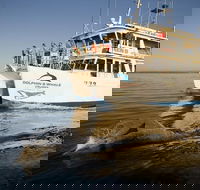Jervis Bay Dolphin Watch Cruise - VIC Tourism
