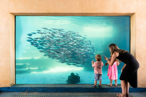 AQWA The Aquarium Of Western Australia - VIC Tourism 0