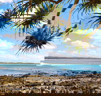 Arrawarra-Corindi Beach - VIC Tourism