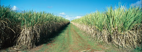 Avondale - VIC Tourism 2