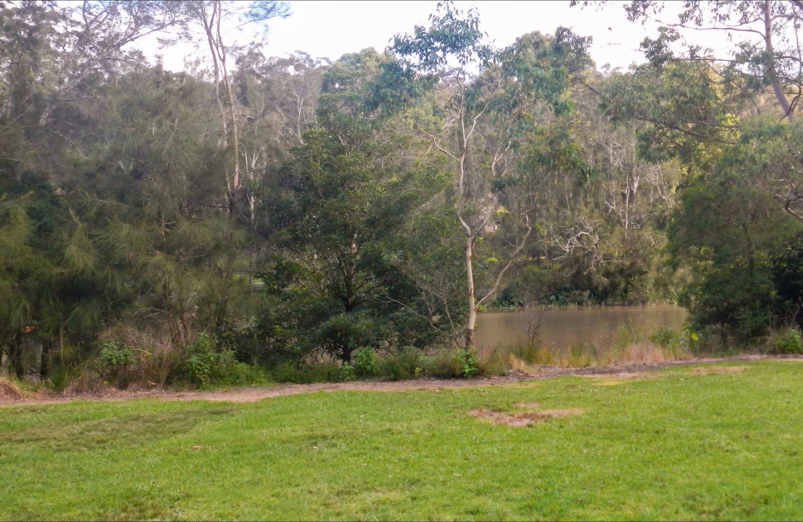 West Lindfield NSW VIC Tourism