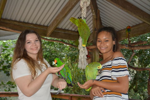 Birdworld Kuranda - VIC Tourism 0