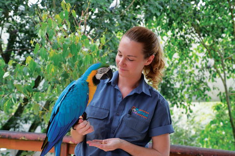 Birdworld Kuranda - VIC Tourism 1