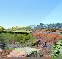 Bladensburg National Park - VIC Tourism