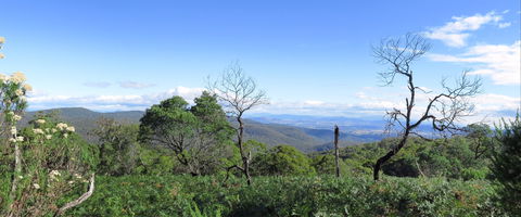 Blue Range Camping And Picnic Area - VIC Tourism 0