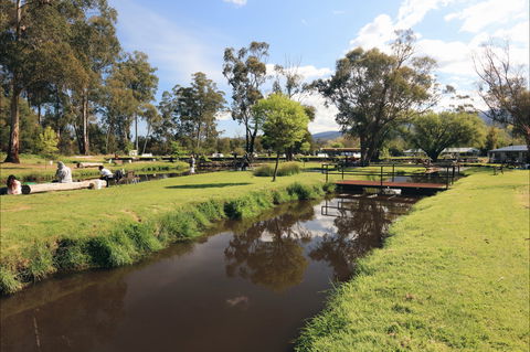 Buxton Trout And Salmon Farm - VIC Tourism 1