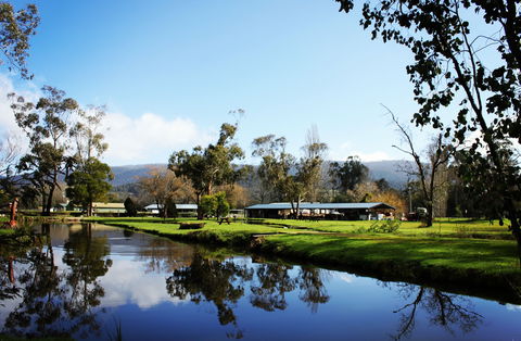 Buxton Trout And Salmon Farm - VIC Tourism 2