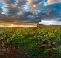 Capella - VIC Tourism