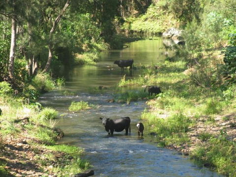 Chillingham - VIC Tourism 1