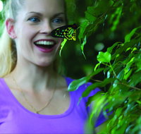 Coffs Harbour Butterfly House - VIC Tourism