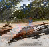 Crooked Brook Forest - VIC Tourism