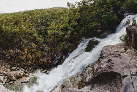 Davies Creek National Park And Dinden National Park - VIC Tourism 0