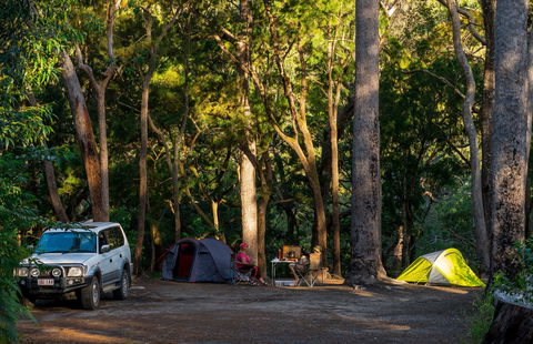 Davies Creek National Park And Dinden National Park - VIC Tourism 1