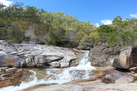 Davies Creek National Park And Dinden National Park - VIC Tourism 2