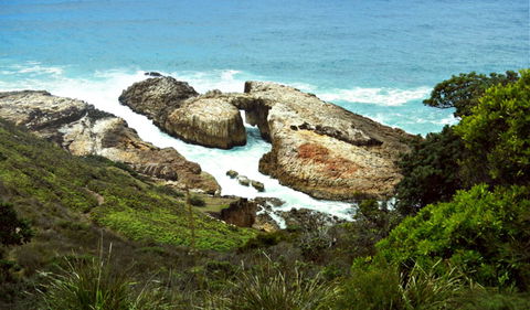 Diamond Head Loop Walk - VIC Tourism 0