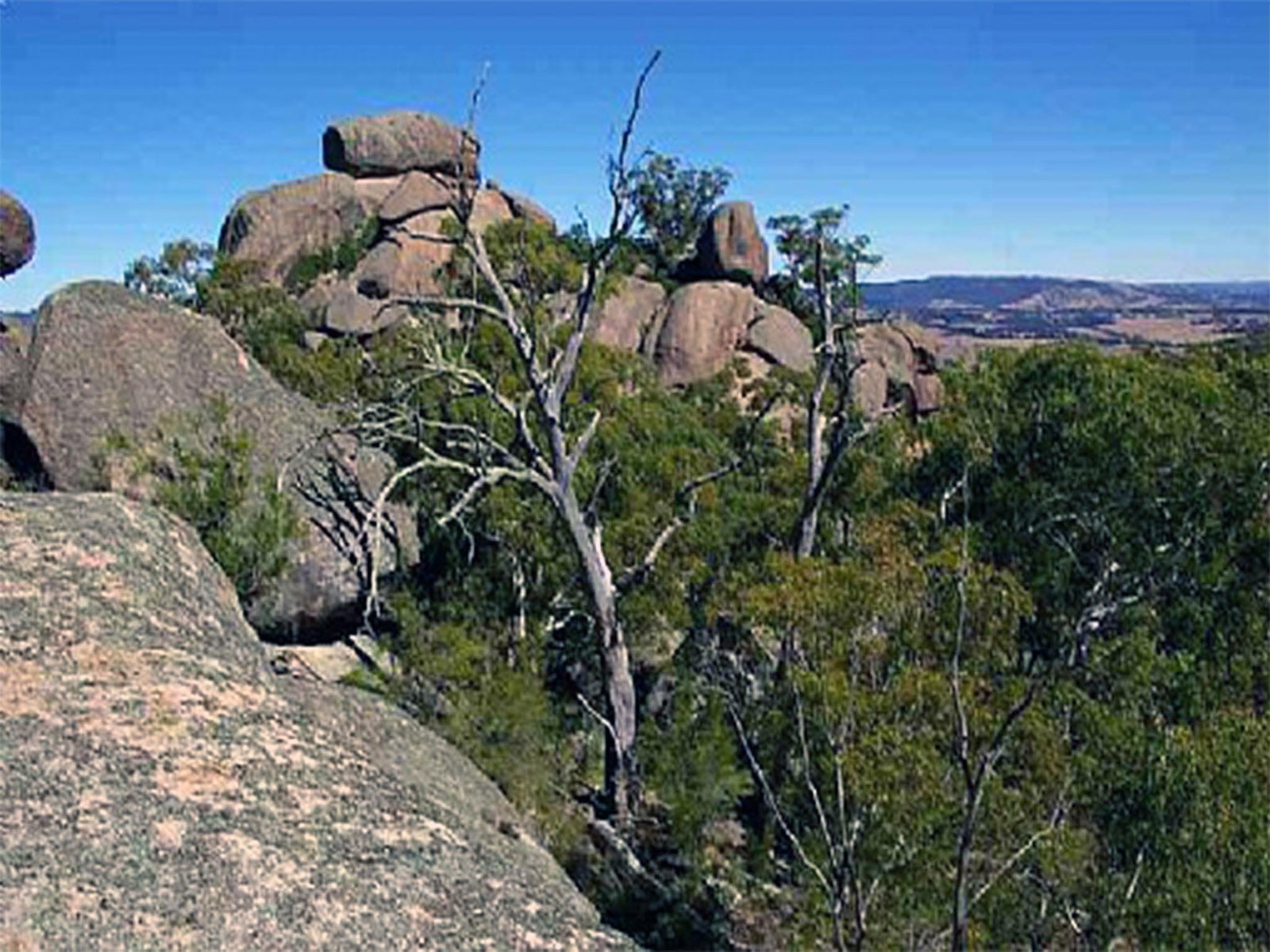 Tarana NSW VIC Tourism