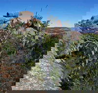 Evans Crown Nature Reserve - VIC Tourism