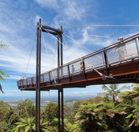 Forest Sky Pier Sealy Lookout - VIC Tourism