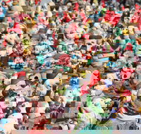 Gnomesville - VIC Tourism