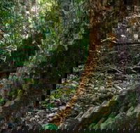 Hidden Treasure Track - VIC Tourism