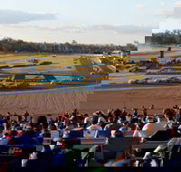 Ipswich Motorsport Precinct - VIC Tourism
