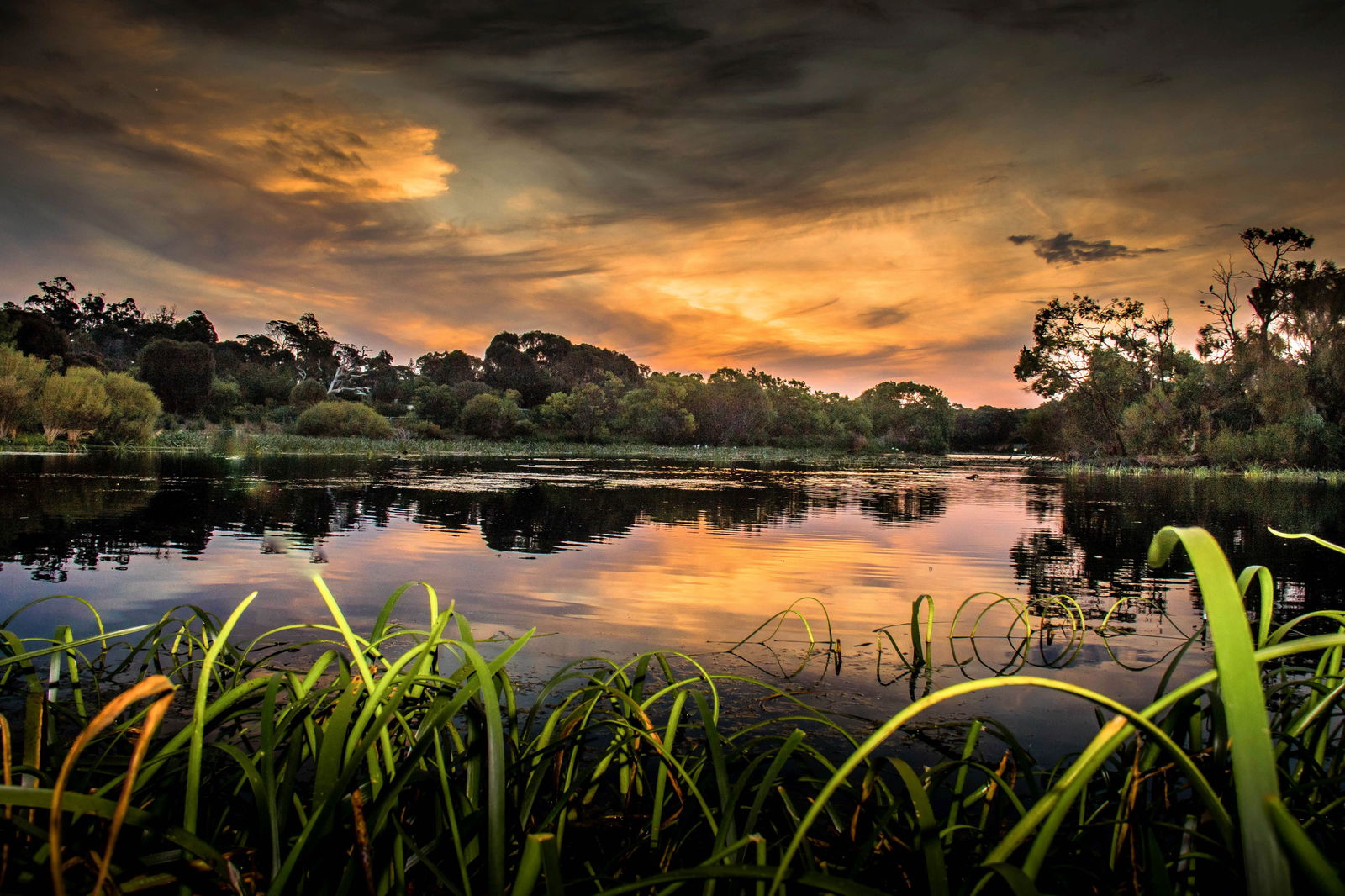  VIC Tourism