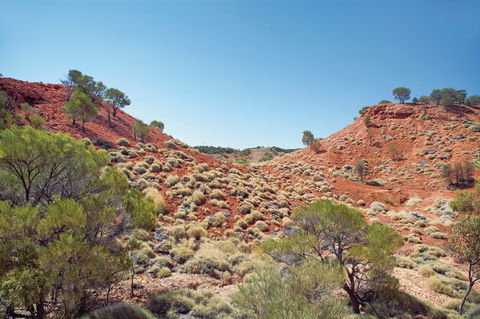 Lark Quarry Conservation Park - VIC Tourism 0